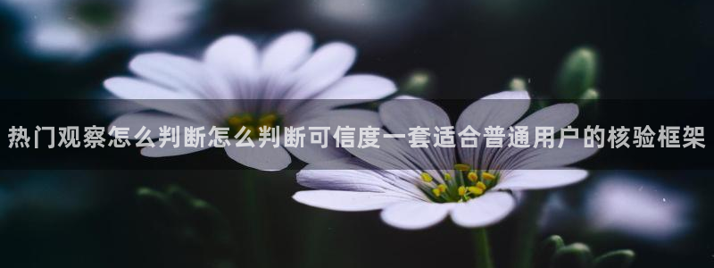 黑料网络新闻:热门观察怎么判断怎么判断可信度一套适合普通用户的核验框架