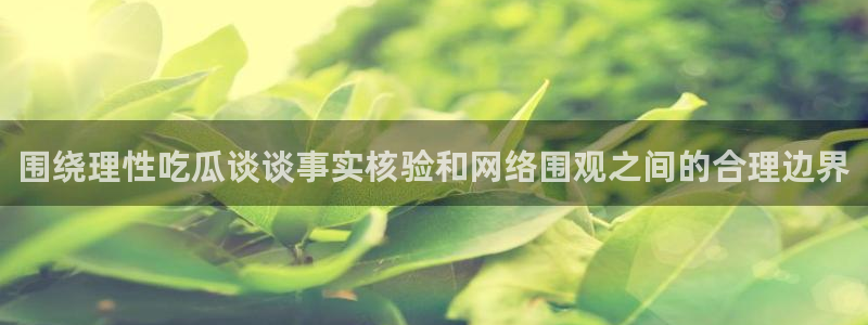 黑料爆料网站入口:围绕理性吃瓜谈谈事实核验和网络围观之间的合理边界