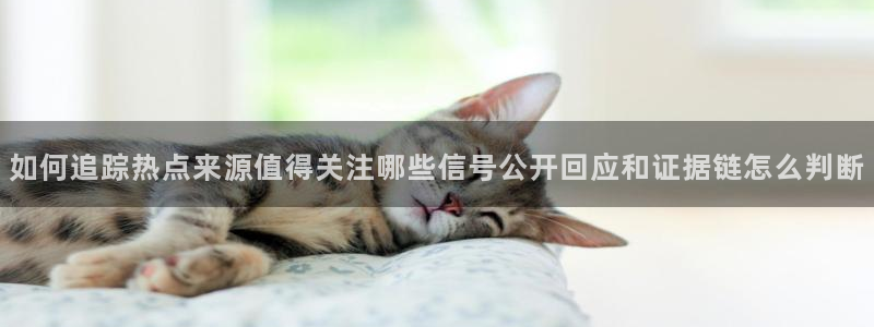 网络热点爆料网:如何追踪热点来源值得关注哪些信号公开回应和证据链怎么判断