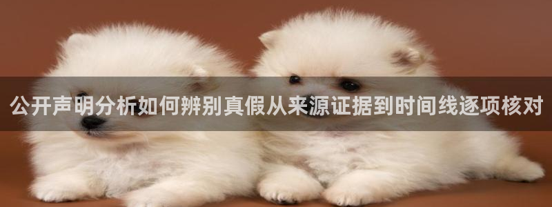 黑料热点新闻:公开声明分析如何辨别真假从来源证据到时间线逐项核对