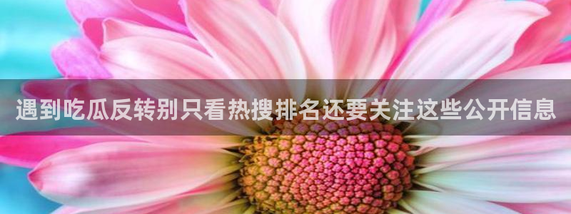 每日热门资讯:遇到吃瓜反转别只看热搜排名还要关注这些公开信息