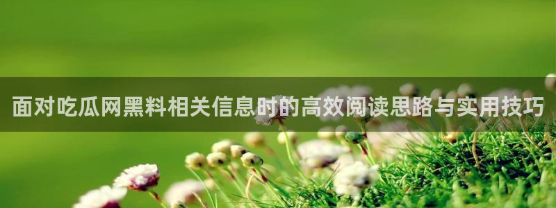 黑料热门事件:面对吃瓜网黑料相关信息时的高效阅读思路与实用技巧