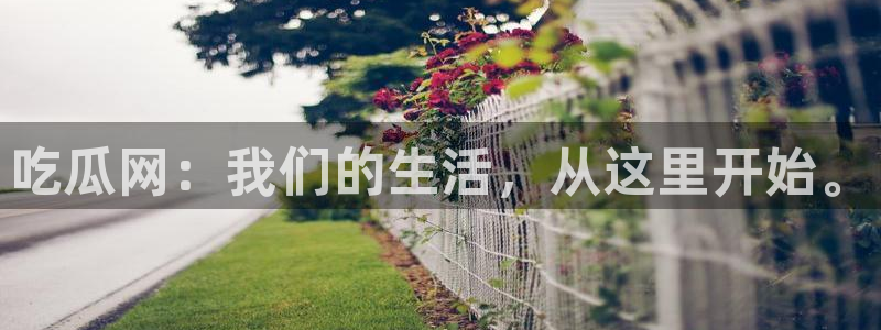 最新热点爆料:吃瓜网:我们的生活,从这里开始。