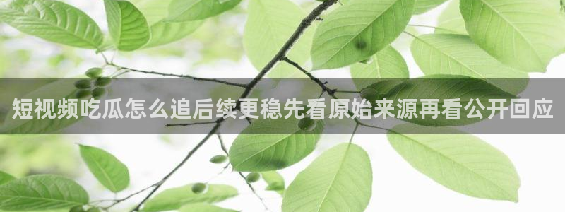 黑料爆料网络热点:短视频吃瓜怎么追后续更稳先看原始来源再看公开回应