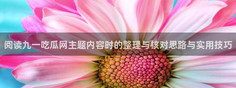 黑料爆料事件大全:阅读九一吃瓜网主题内容时的整理与核对思路与实用技巧