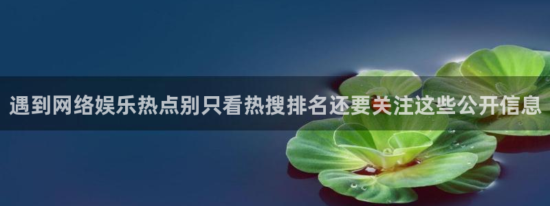 黑料爆料网站大全:遇到网络娱乐热点别只看热搜排名还要关注这些公开信息