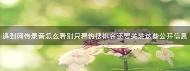 黑料热点话题:遇到网传录音怎么看别只看热搜排名还要关注这些公开信息