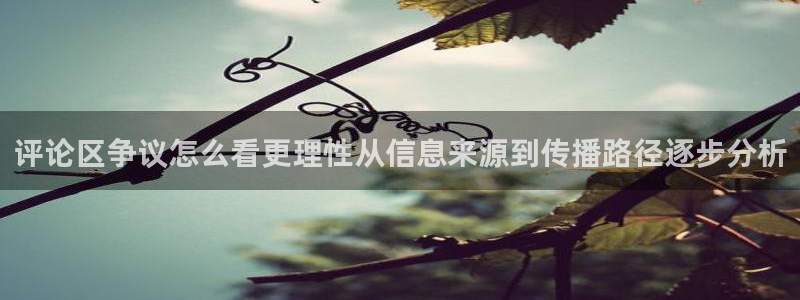 热门网络资讯：评论区争议怎么看更理性从信息来源到传播路径逐步分析