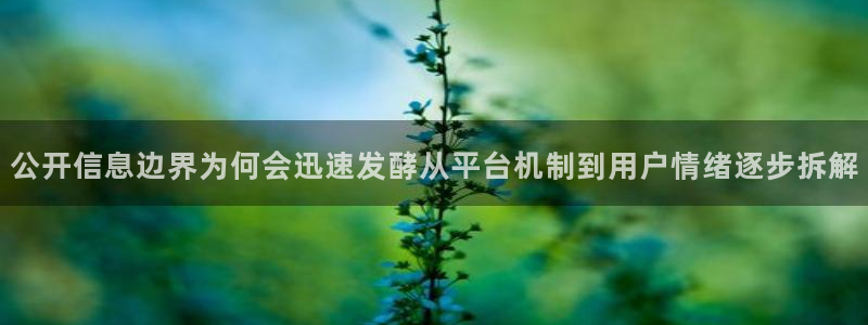 黑料爆料事件搜索:公开信息边界为何会迅速发酵从平台机制到用户情绪逐步拆解