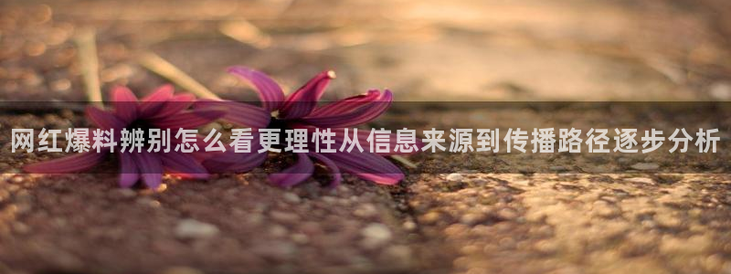黑料热点话题：网红爆料辨别怎么看更理性从信息来源到传播路径逐步分析